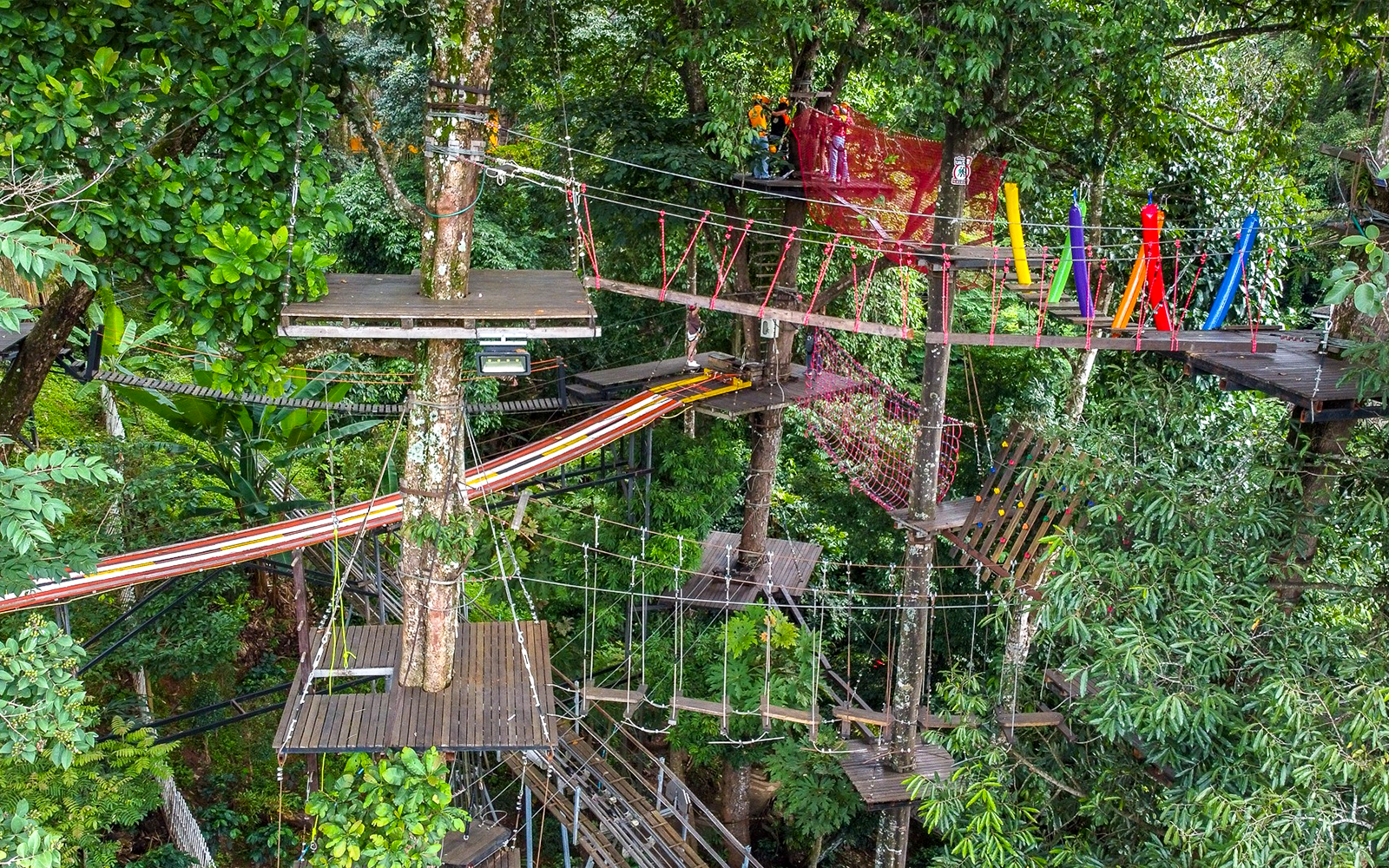 Pongyang Jungle Coaster: Ziplining + Jungle Coaster Packages (with Transfers) tickets in Chiang Mai - Activities | TickYourList
