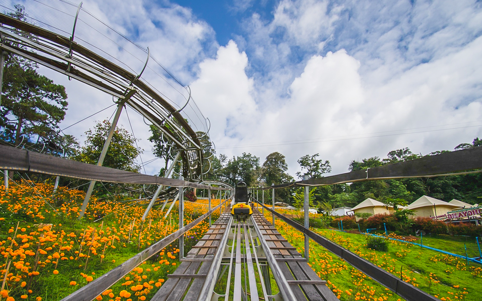 Pongyang Jungle Coaster: Ziplining + Jungle Coaster Packages (with Transfers) tickets in Chiang Mai - Highlights | TickYourList