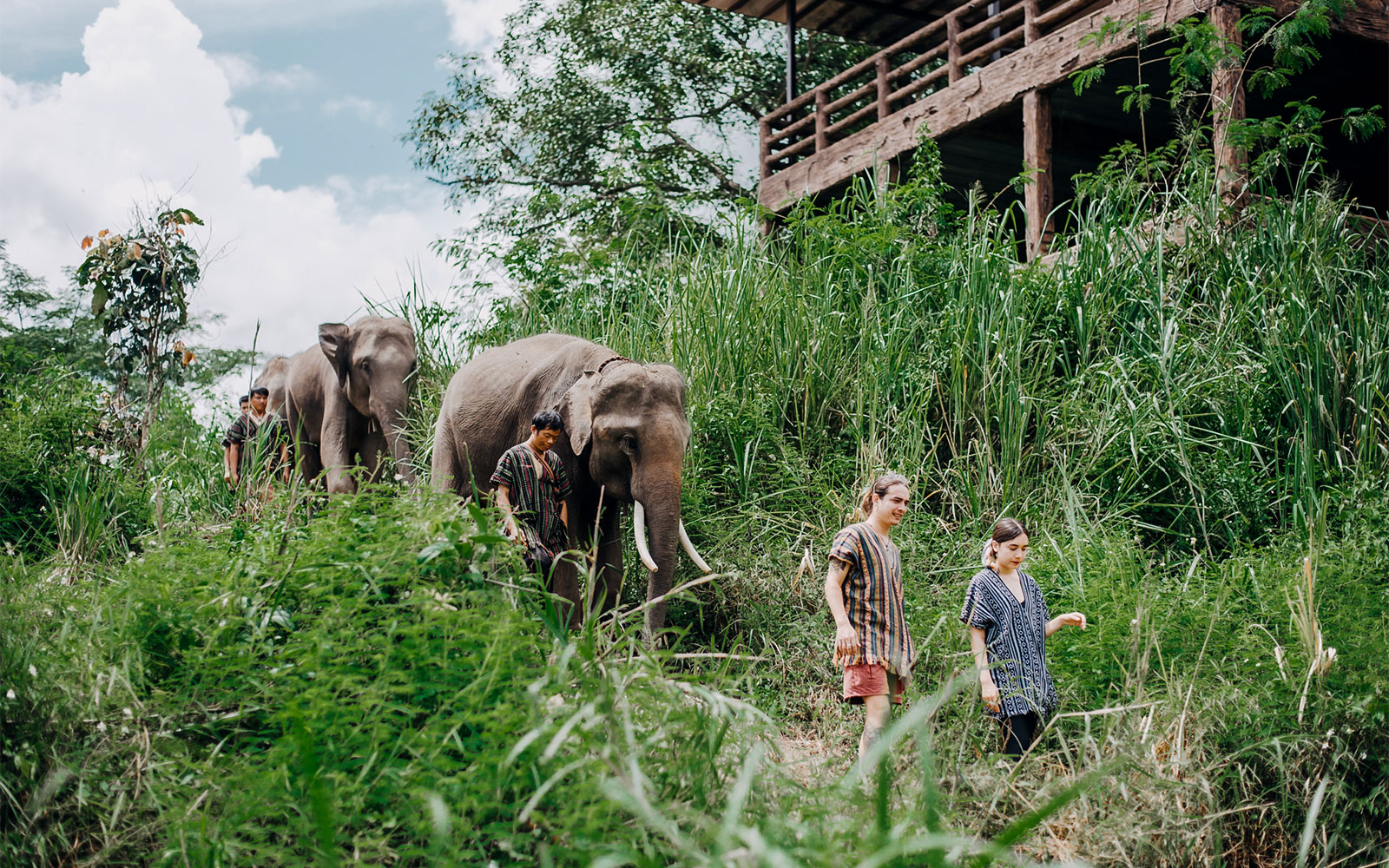 6-Hour Tour of Elephants Care Camp at Chiang Mai tickets in Chiang Mai - Features | TickYourList