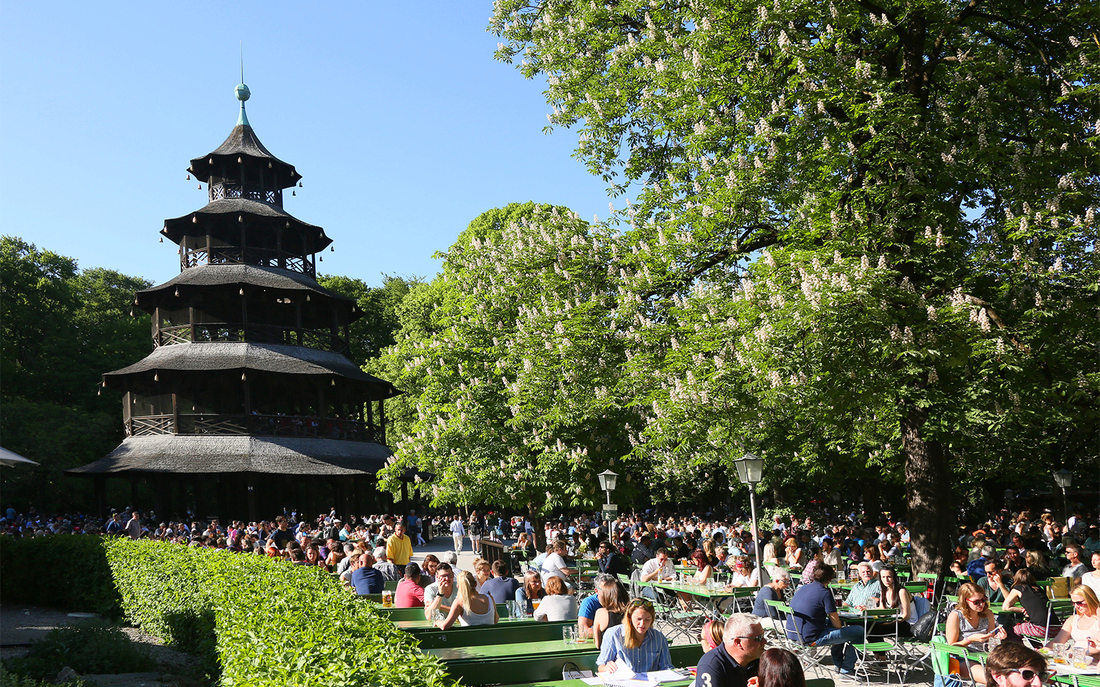 Munich Guided Bike & English Gardens Tour
