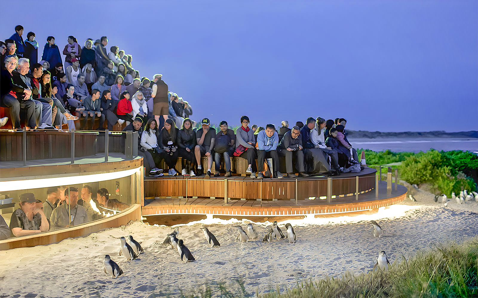 Phillip Island 3 Parks Pass: Penguin Parade, Koala Conservation Reserve & Churchill Island tickets in Melbourne - Attractions | TickYourList