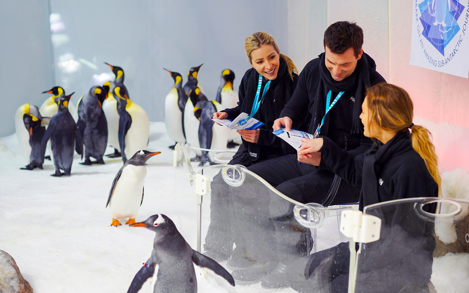 SEA LIFE Melbourne Aquarium Tickets in Melbourne - Features | TickYourList