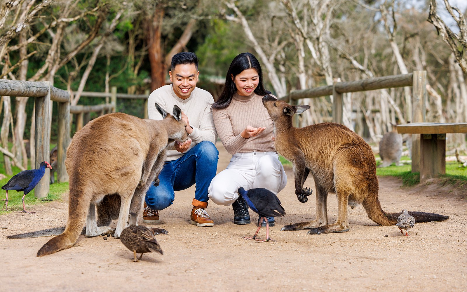 Moonlit Sanctuary Wildlife Park Admission Tickets in Melbourne - Full Experience | TickYourList