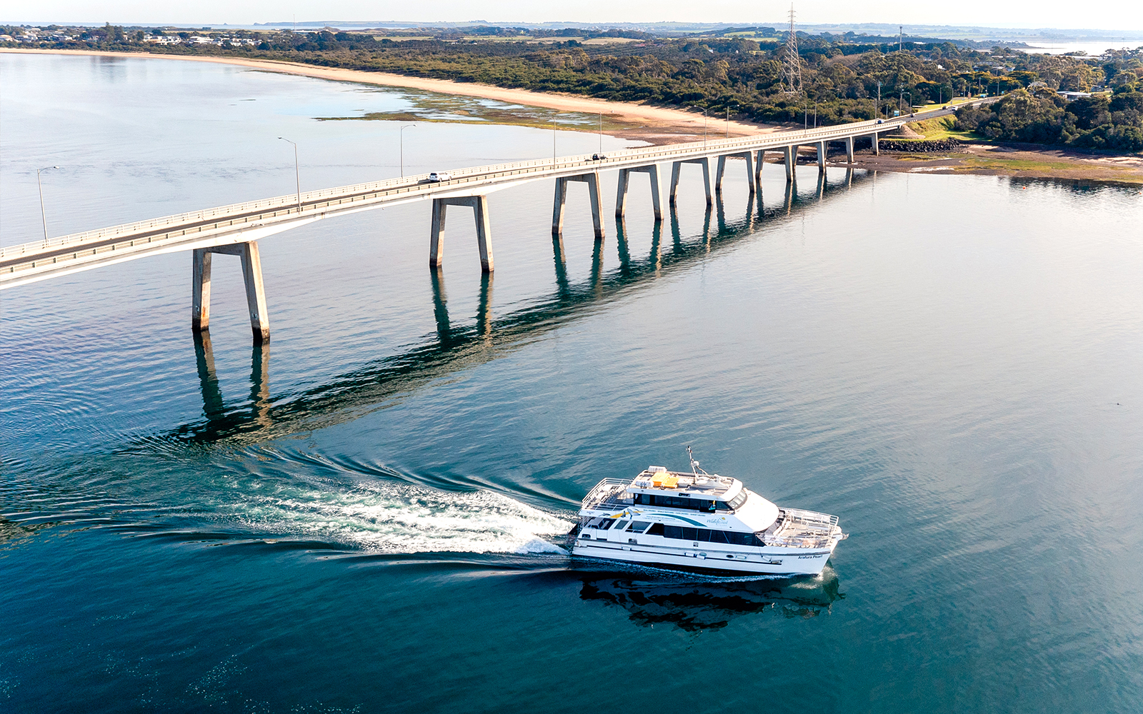 Cape Woolamai Morning Cruise at Phillip Island tickets in Melbourne - Features | TickYourList