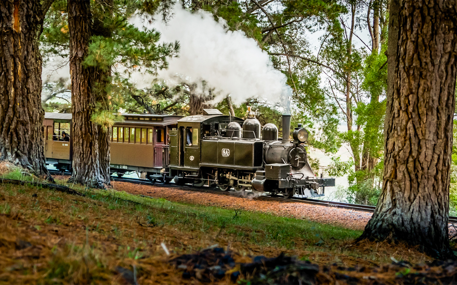 From Melbourne: Puffing Billy Train Ride & Phillip Island Guided Tour tickets in Melbourne - Features | TickYourList