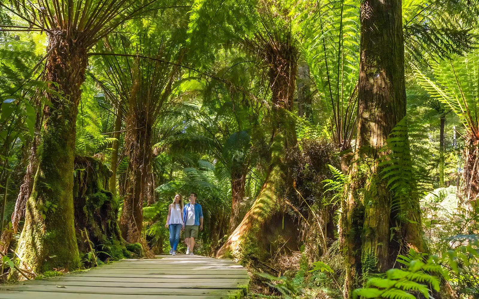 Great Ocean Road & 12 Apostles Reverse Tour with Lunch tickets in Melbourne - Activities | TickYourList