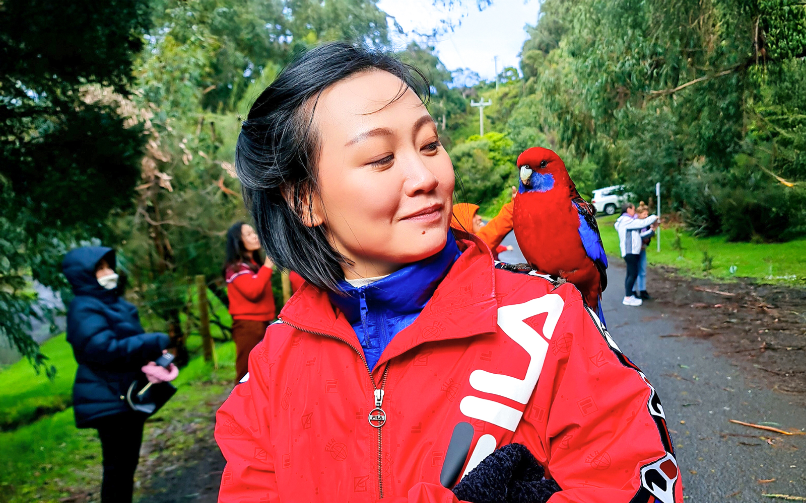 From Melbourne: Full-Day Great Ocean Road Guided Tour tickets in Melbourne - Highlights | TickYourList
