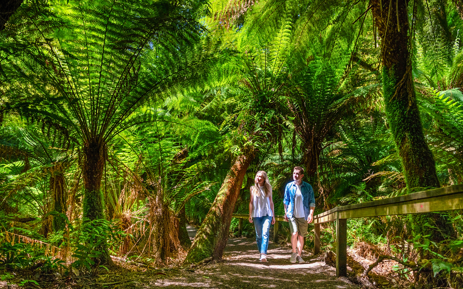 From Melbourne: Full-Day Great Ocean Road Guided Tour tickets in Melbourne - Features | TickYourList