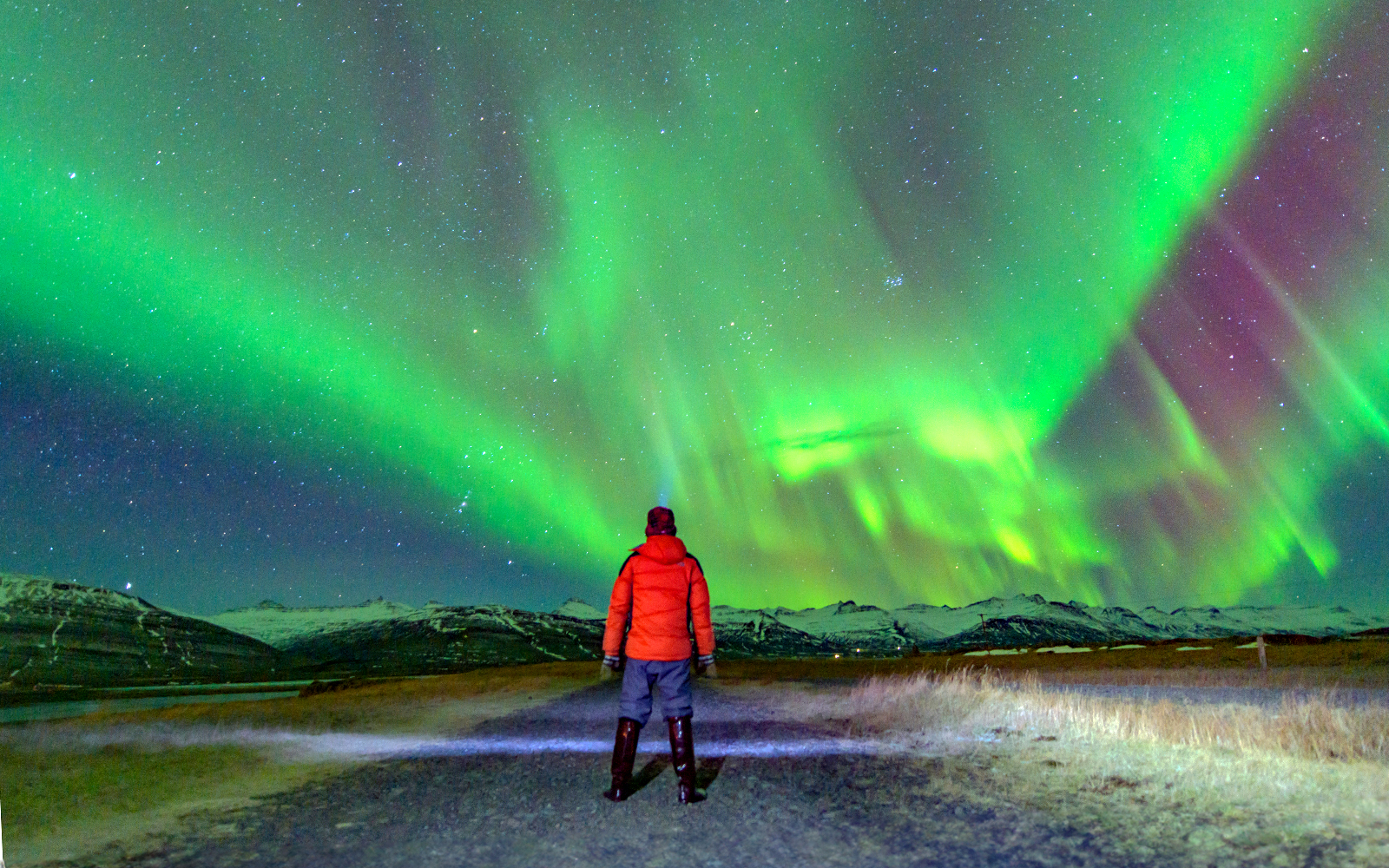 Reykjavik: Blue Lagoon Admission Tickets + Northern Lights Tour in Reykjavik - Highlights | TickYourList