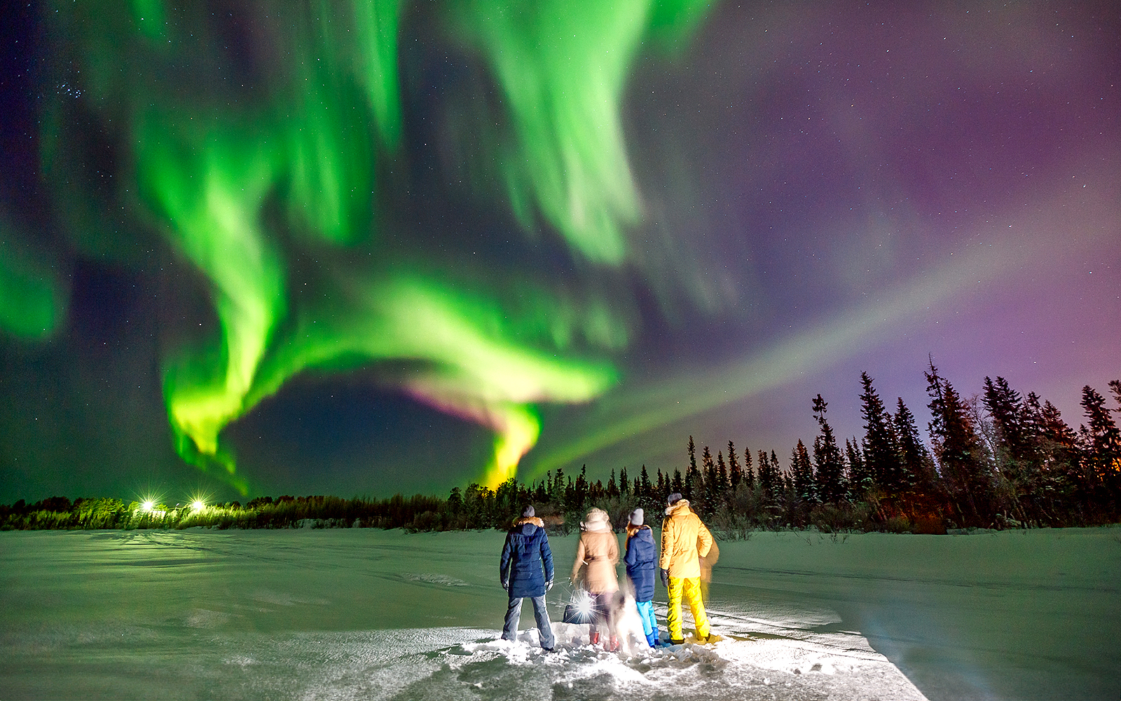 Reykjavik: Blue Lagoon Admission Tickets + Northern Lights Tour in Reykjavik - Features | TickYourList