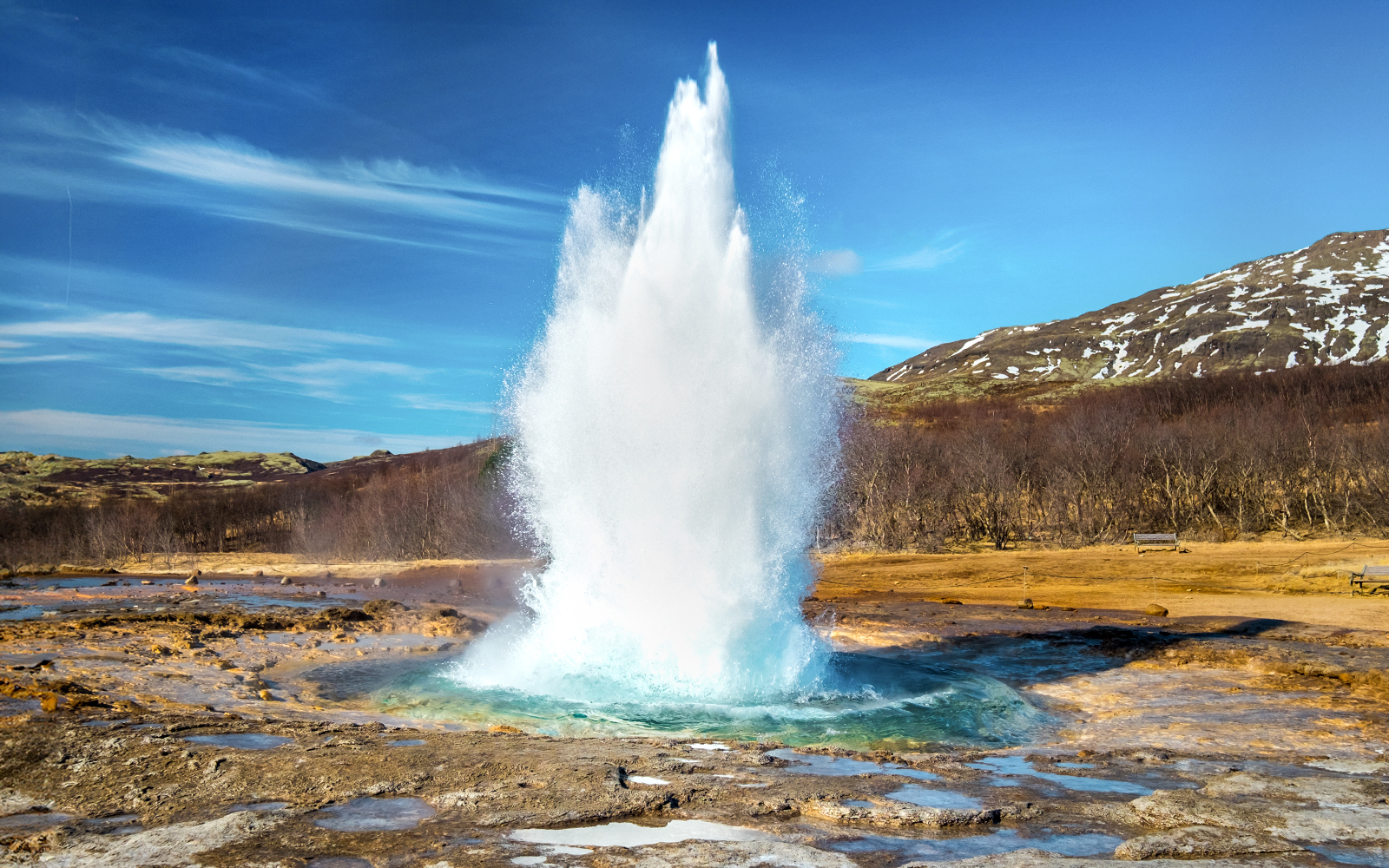 From Reykjavik: Blue Lagoon Admission Tickets +Golden Circle Tour with Transfers in Reykjavik - Highlights | TickYourList