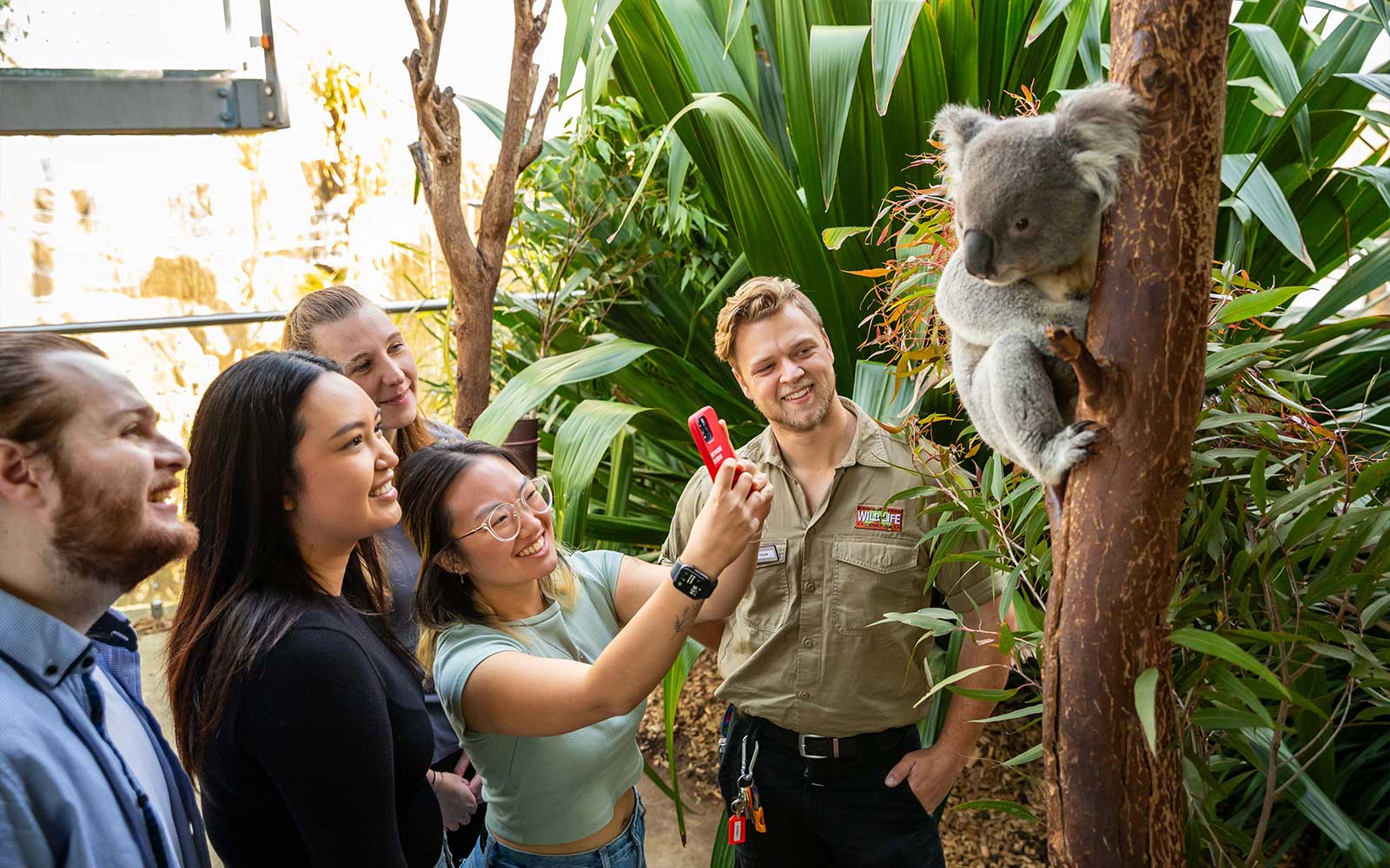 Breakfast with Koalas Tickets at WILD LIFE Sydney Zoo in Sydney - Attractions | TickYourList