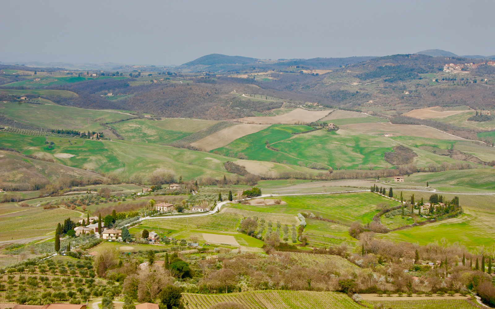 From Rome: Tuscany Day Trip with Lunch and Wine Tasting