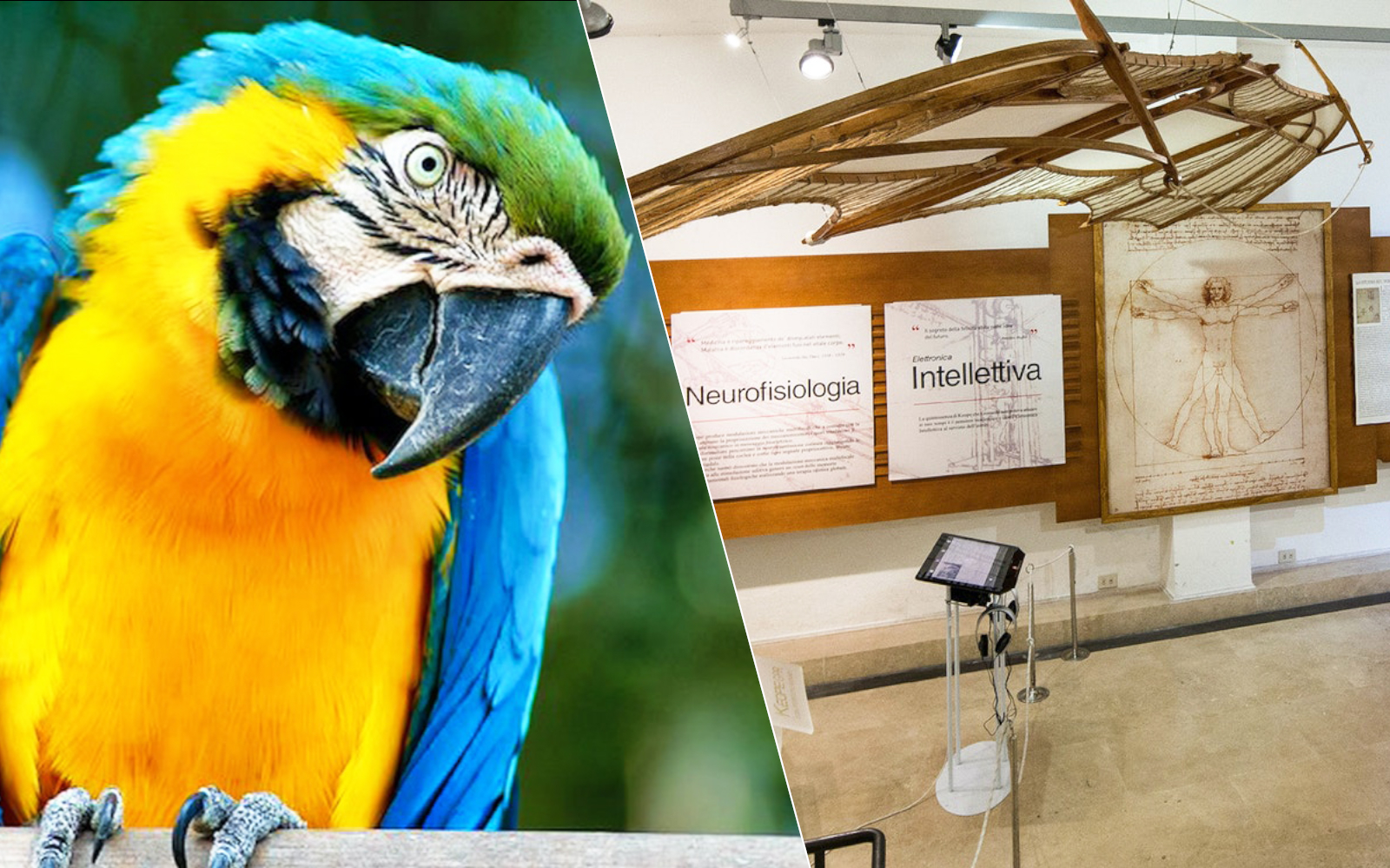 Combo (Save 5%): Rome Bioparco + Leonardo da Vinci Museum Tickets experience in Rome | TickYourList