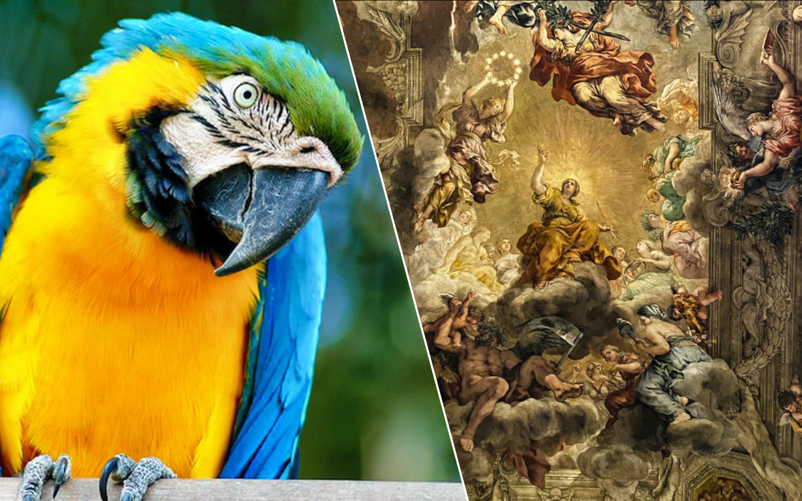 Combo (Save 5%): Rome Bioparco + Palazzo Barberini Tickets experience in Rome | TickYourList