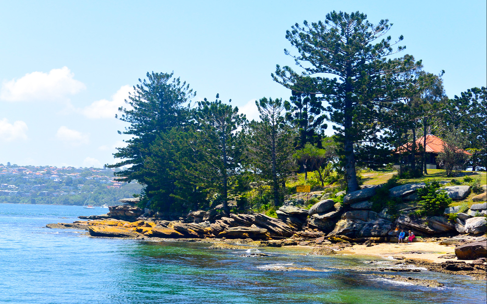 Sydney Harbour Sightseeing Cruise with Buffet Lunch tickets in Sydney - Highlights | TickYourList