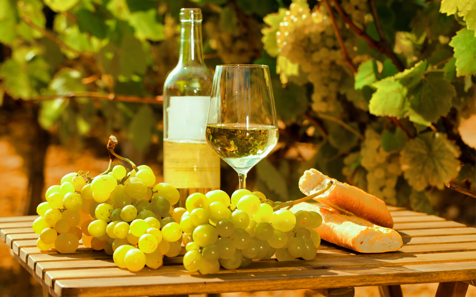 Frascati Wine Tour from Rome with Lunch tickets in Rome - Attractions | TickYourList