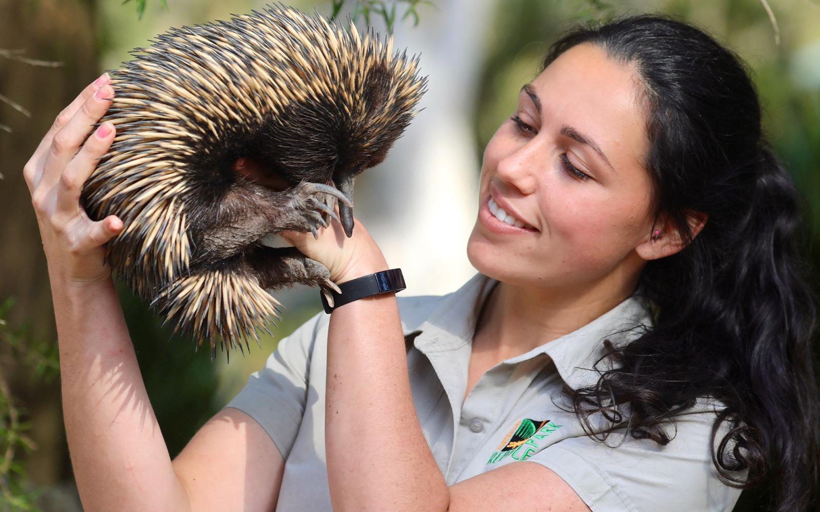 Australian Reptile Park Ticket in Sydney - Highlights | TickYourList
