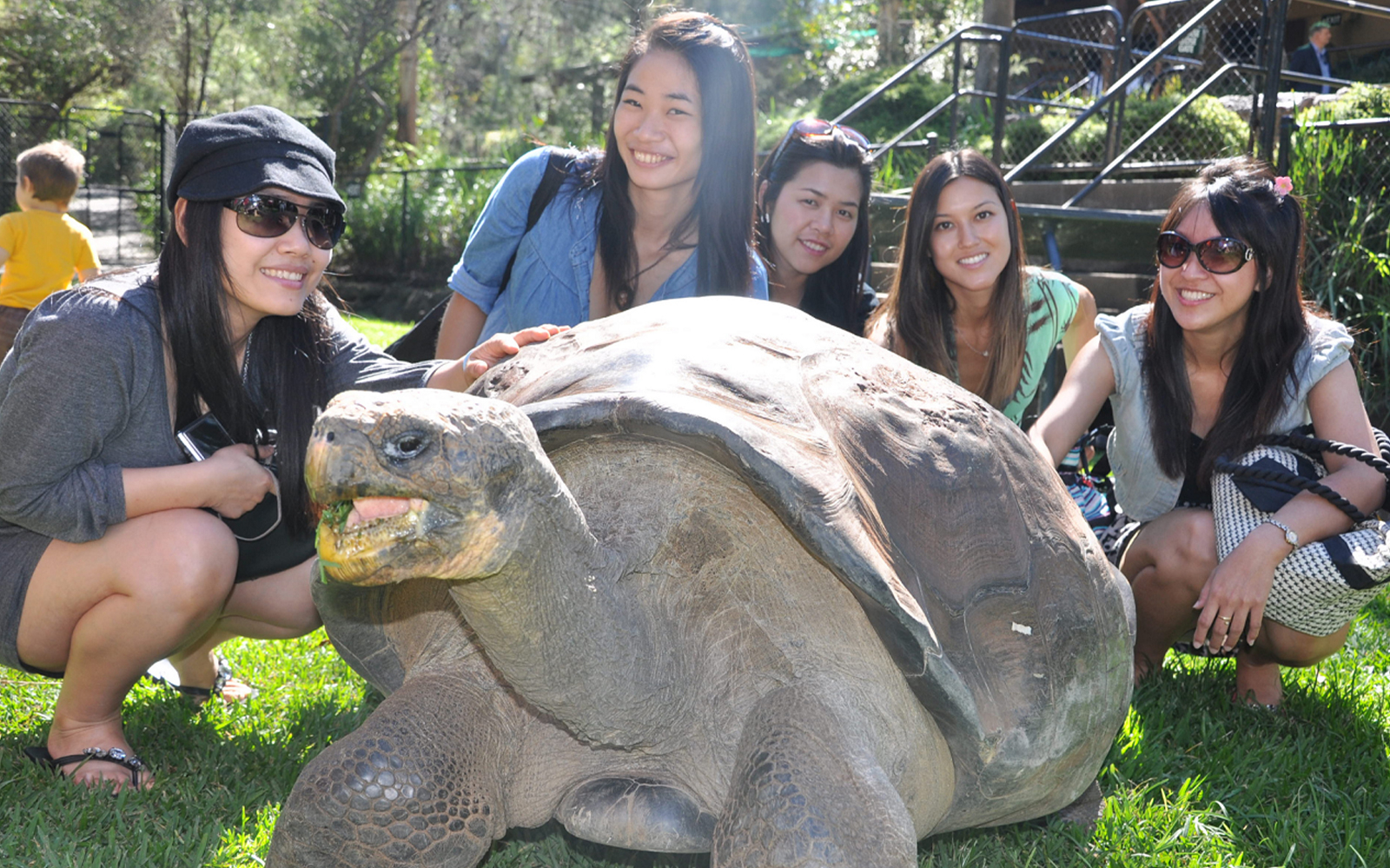 Australian Reptile Park Ticket in Sydney - Features | TickYourList