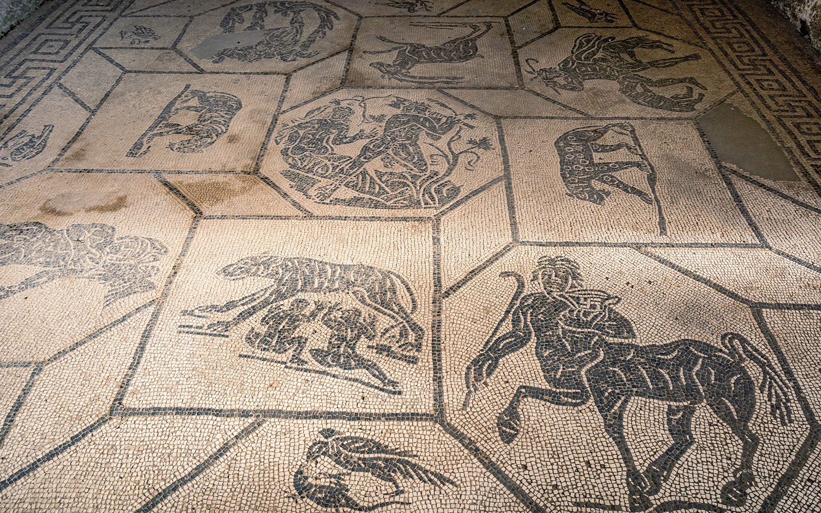 From Rome: Ostia Antica Half-Day Trip by Train tickets in Rome - Highlights | TickYourList