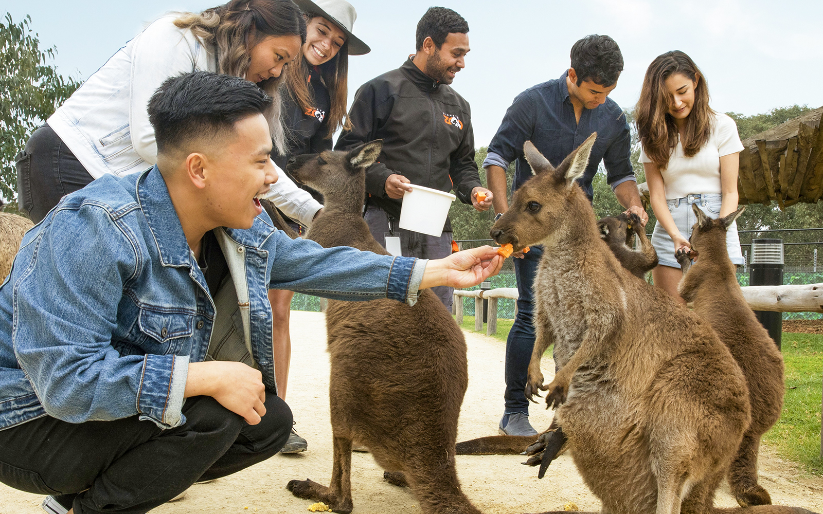 Combo (Save 4%): Sydney Zoo Tickets + Blue Mountains Scenic World Pass in Sydney - Activities | TickYourList