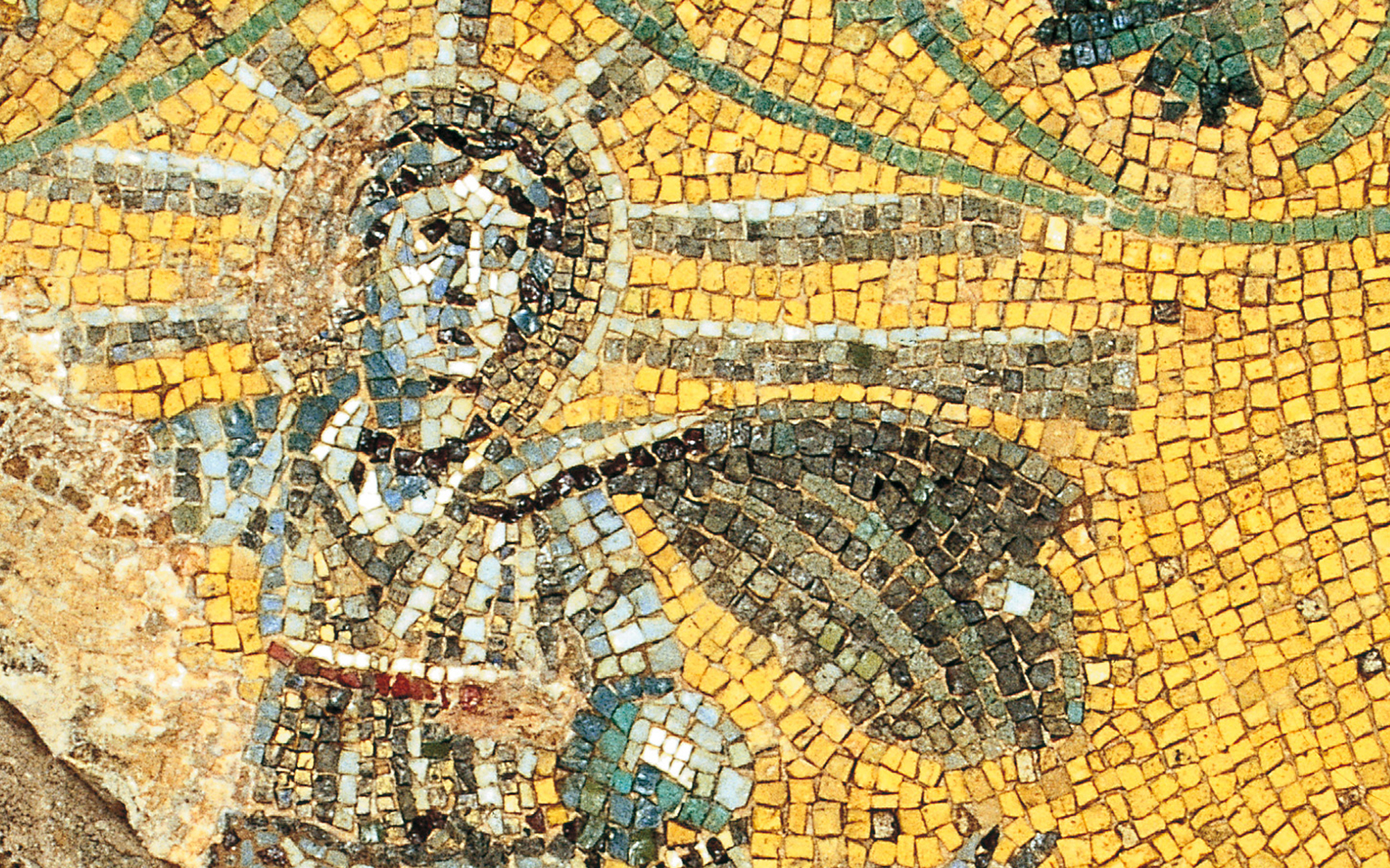 Fast Track: St. Peter’s Basilica and Vatican Necropolis - Guided Tour experience tickets in Rome | TickYourList