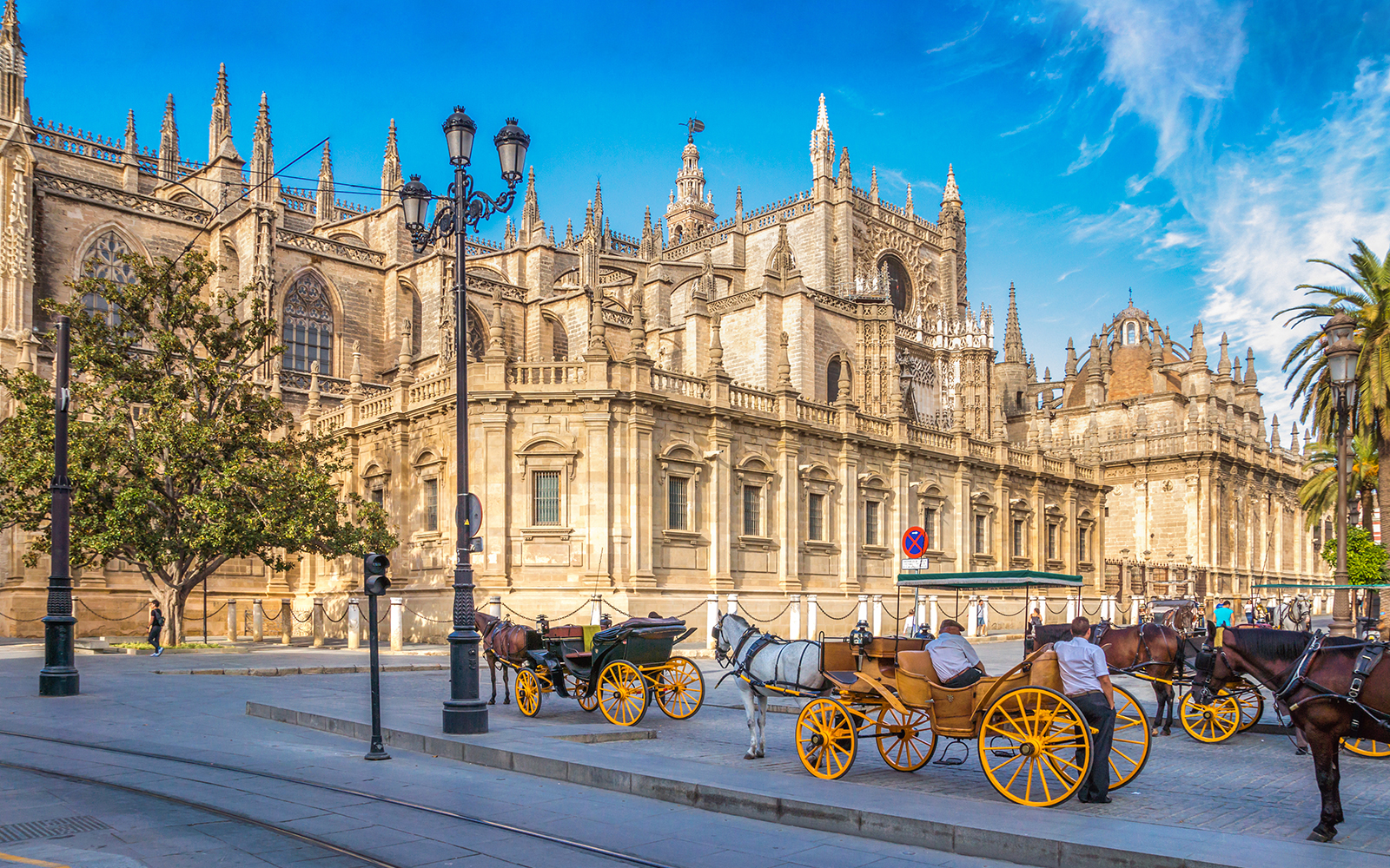 Alcázar of Seville + Seville Cathedral + La Giralda Skip-the-Line Guided Tour tickets in Seville - Activities | TickYourList