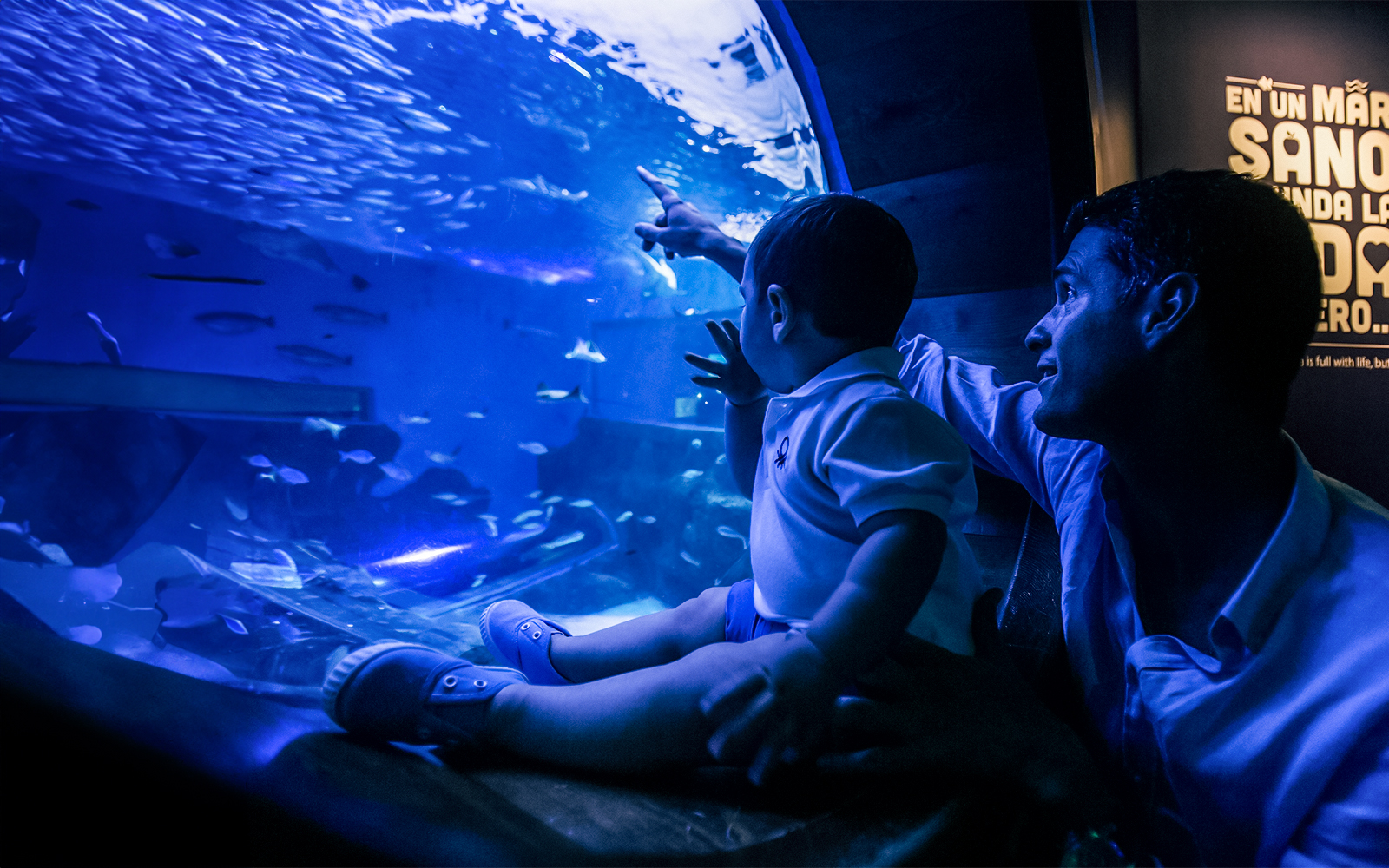 Seville Aquarium Tickets in Seville - Attractions | TickYourList