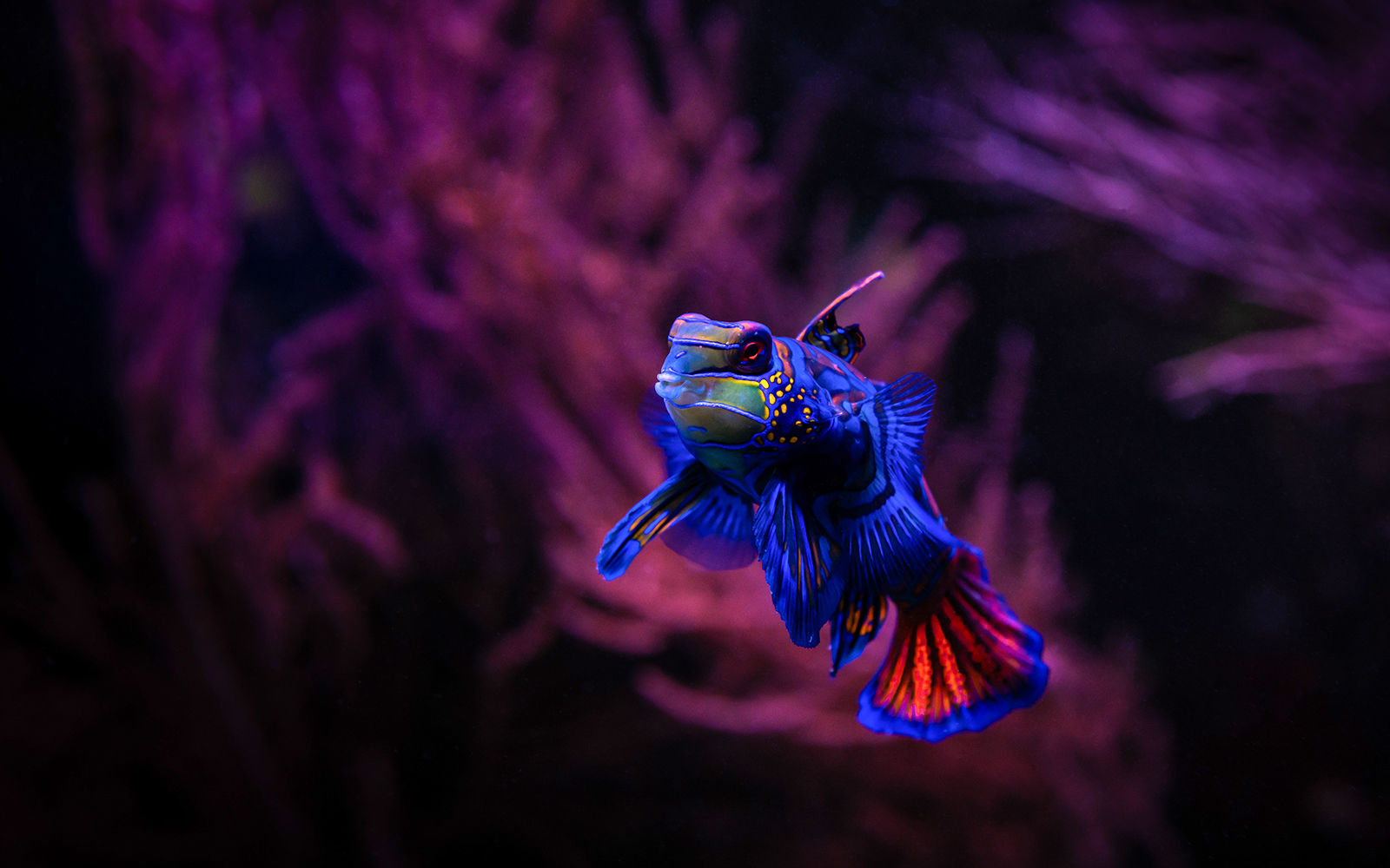 Seville Aquarium Tickets in Seville - Features | TickYourList