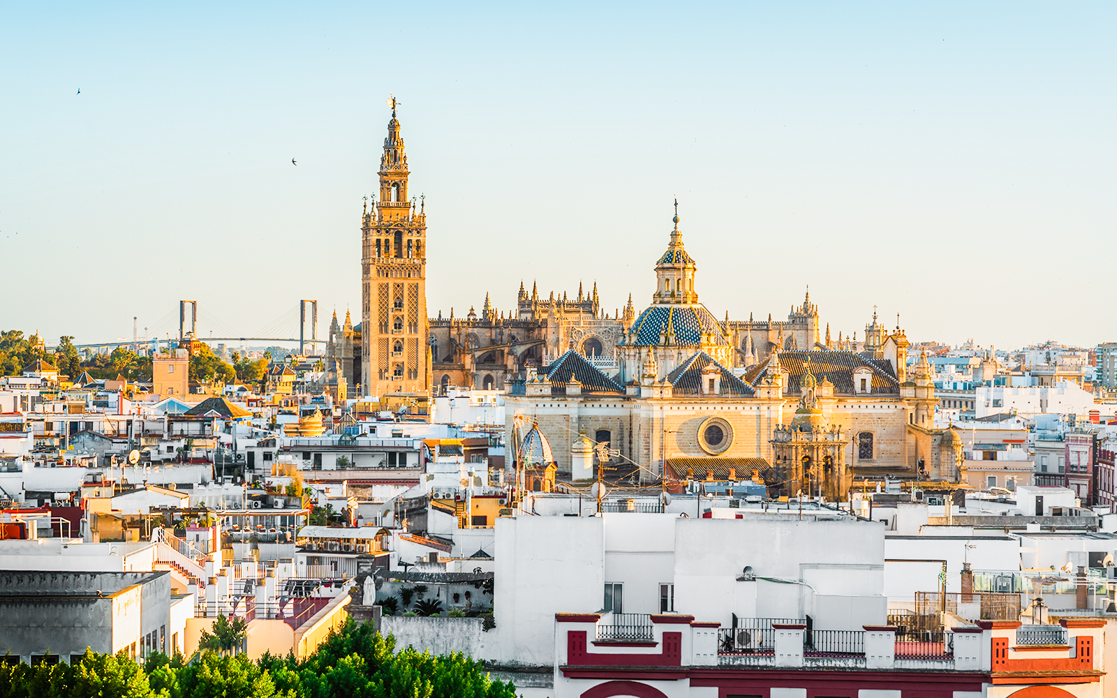 Combo (Save 5%): Seville Hop-on-Hop-off Bus Tour + Seville Cathedral & La Giralda Tickets in Seville - Features | TickYourList