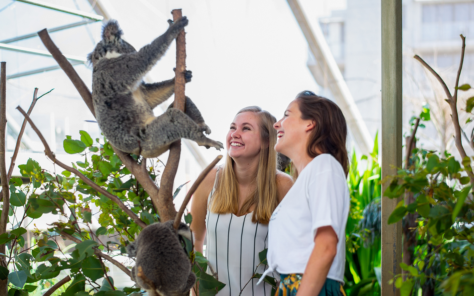 Sydney Multi-Attraction Pass tickets in Sydney - Highlights | TickYourList