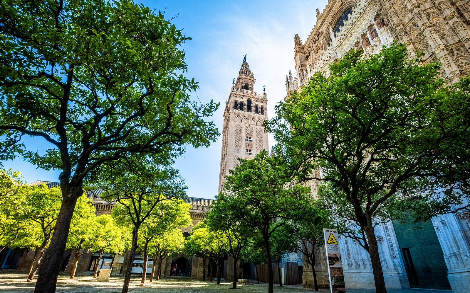Seville Cathedral & La Giralda Priority Access Guided Tour tickets in Seville - Activities | TickYourList