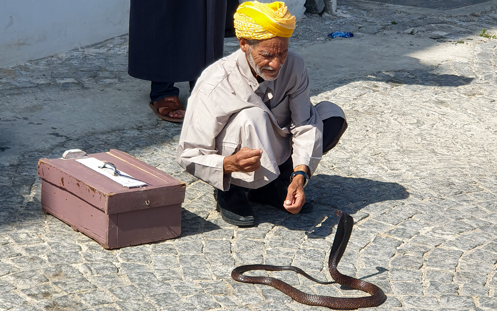Day Tour of Tangier From Seville with Lunch tickets in Seville - Features | TickYourList