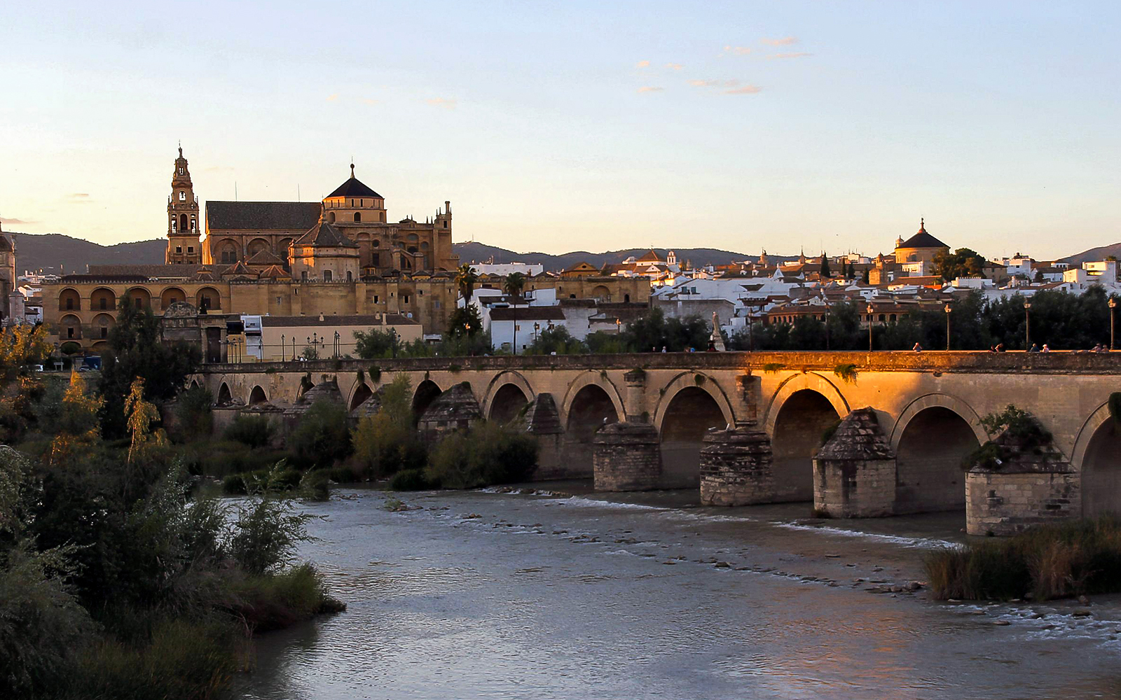 Full-Day Small Group Guided Tour of Cordoba from Seville tickets in Seville - Activities | TickYourList