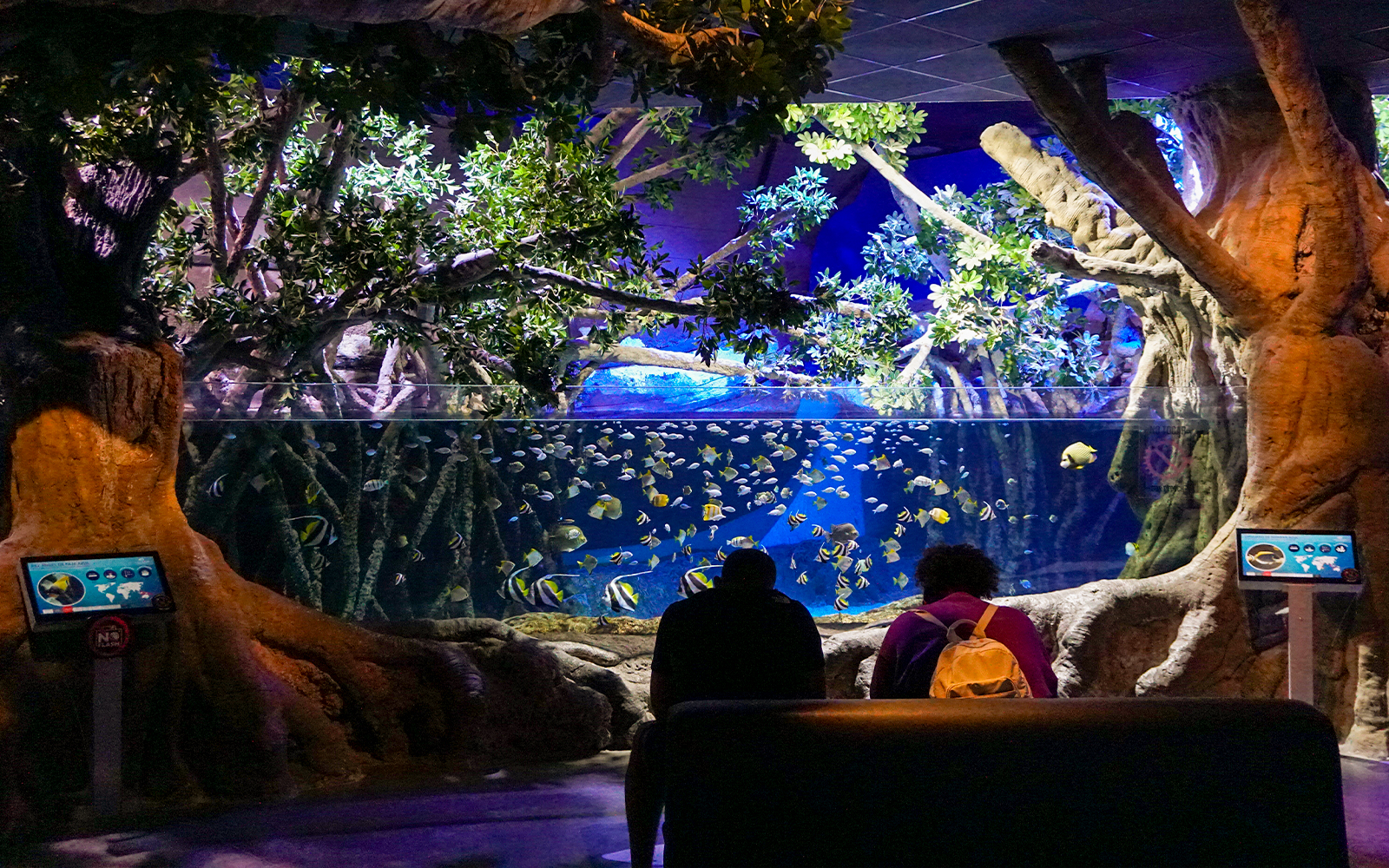 Combo (Save 5%): Seville Aquarium Tickets + Seville Hop-on Hop-off Tour + Seville Cruise in Seville - Activities | TickYourList