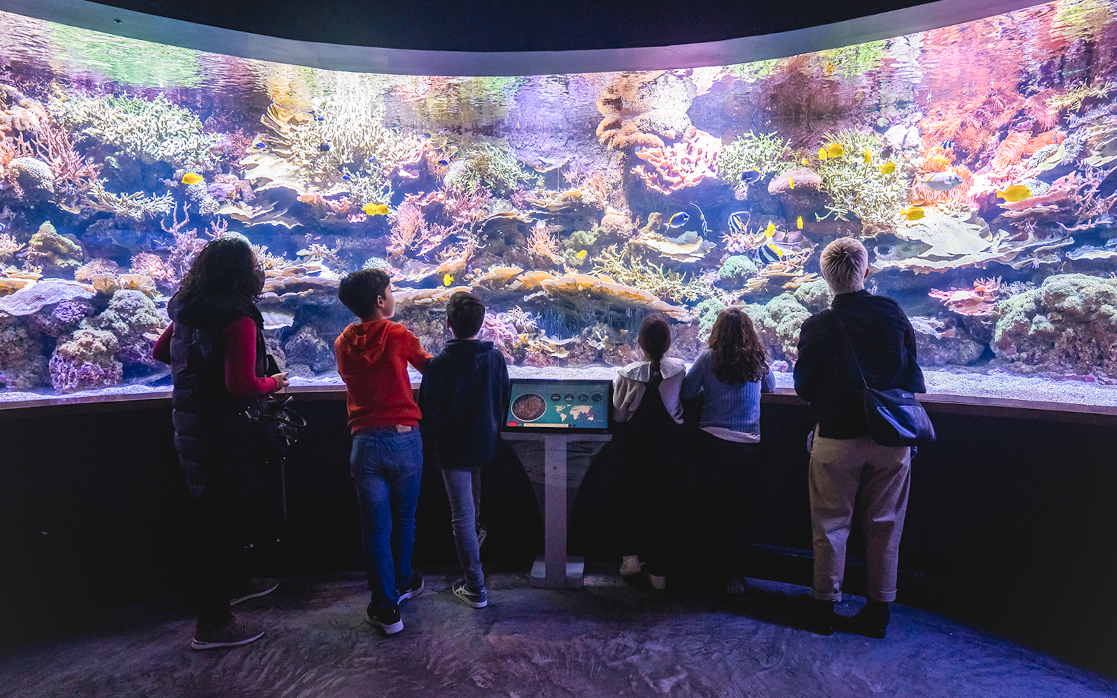 Combo: Seville Aquarium + Isla Mágica Tickets in Seville - Attractions | TickYourList