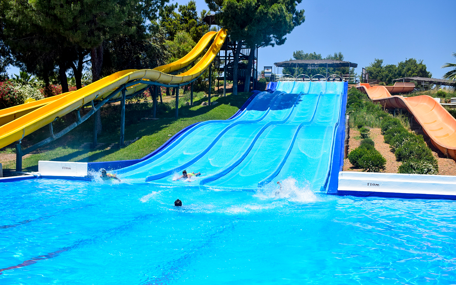 Combo: Guadalpark + Seville Aquarium Tickets in Seville - Features | TickYourList