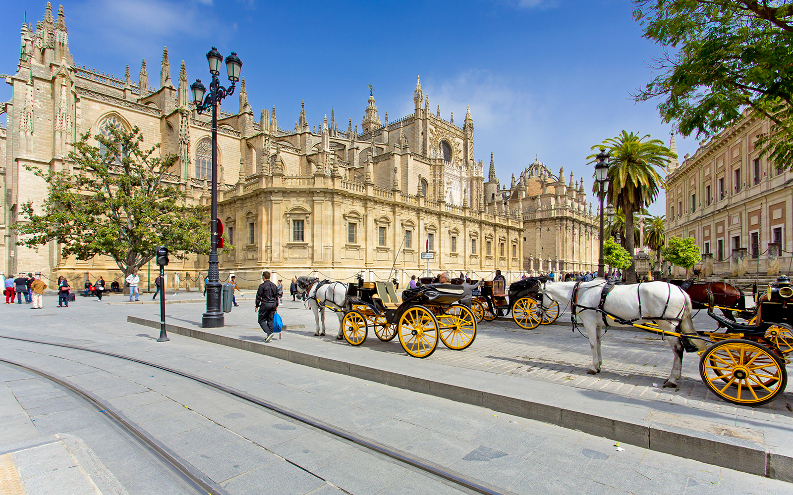 Panoramic Segway Shared or Private Guided Tour of Seville tickets in Seville - Activities | TickYourList