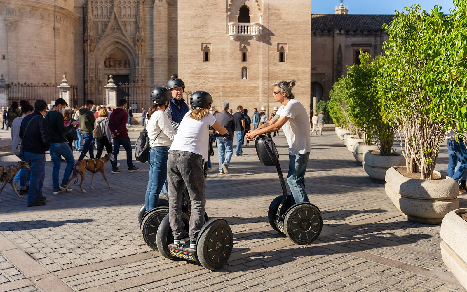 Panoramic Segway Shared or Private Guided Tour of Seville tickets in Seville - Highlights | TickYourList