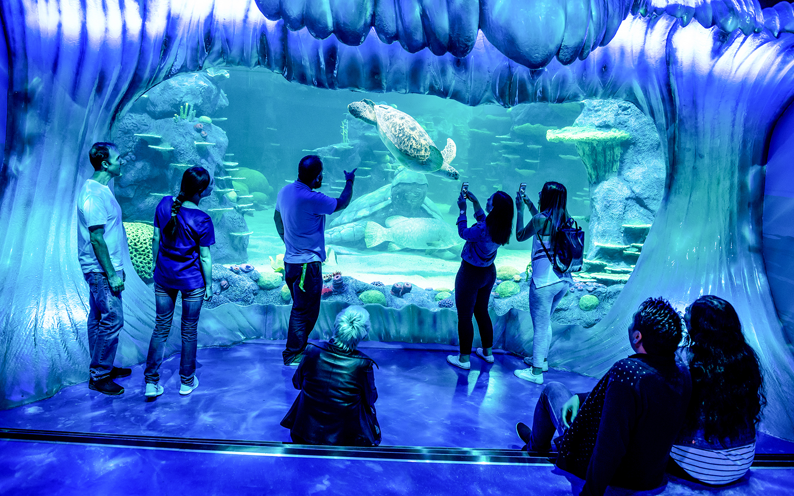 Shark Dive Xtreme Tickets at SEA LIFE Sydney Aquarium in Sydney - Highlights | TickYourList
