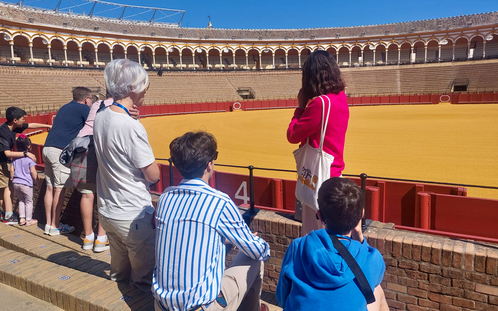 1-Hour Skip-the-Line Guided Tour of Bullring in Seville tickets in Seville - Activities | TickYourList