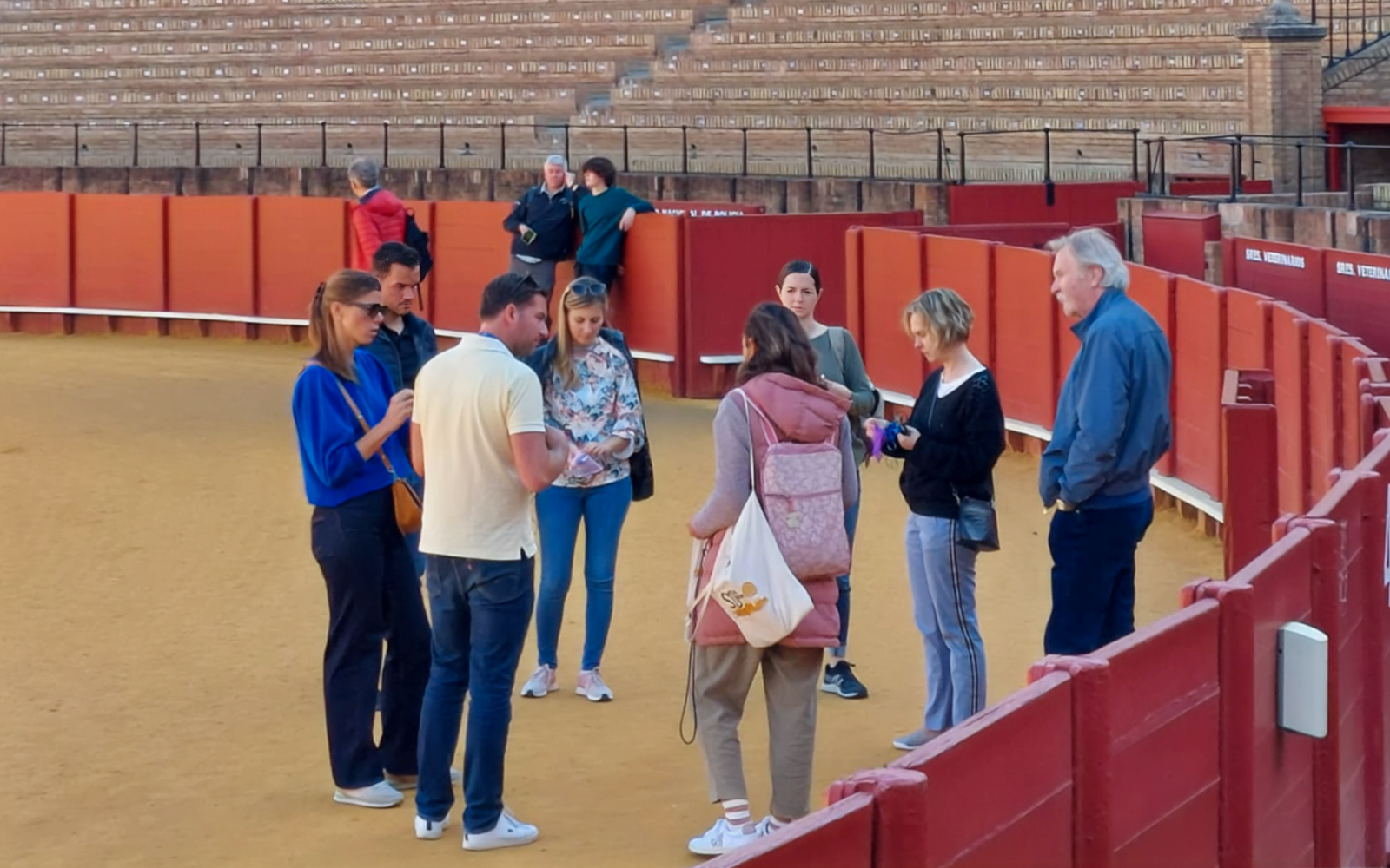 1-Hour Skip-the-Line Guided Tour of Bullring in Seville tickets in Seville - Highlights | TickYourList