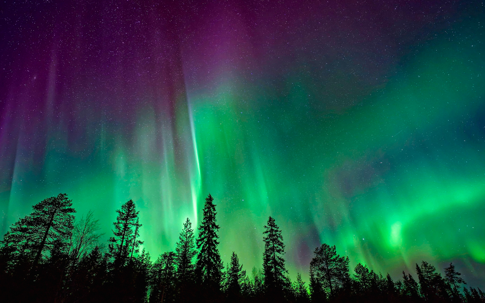 Rovaniemi: Northern Lights Chase Small Group Tour tickets in Rovaniemi - Attractions | TickYourList
