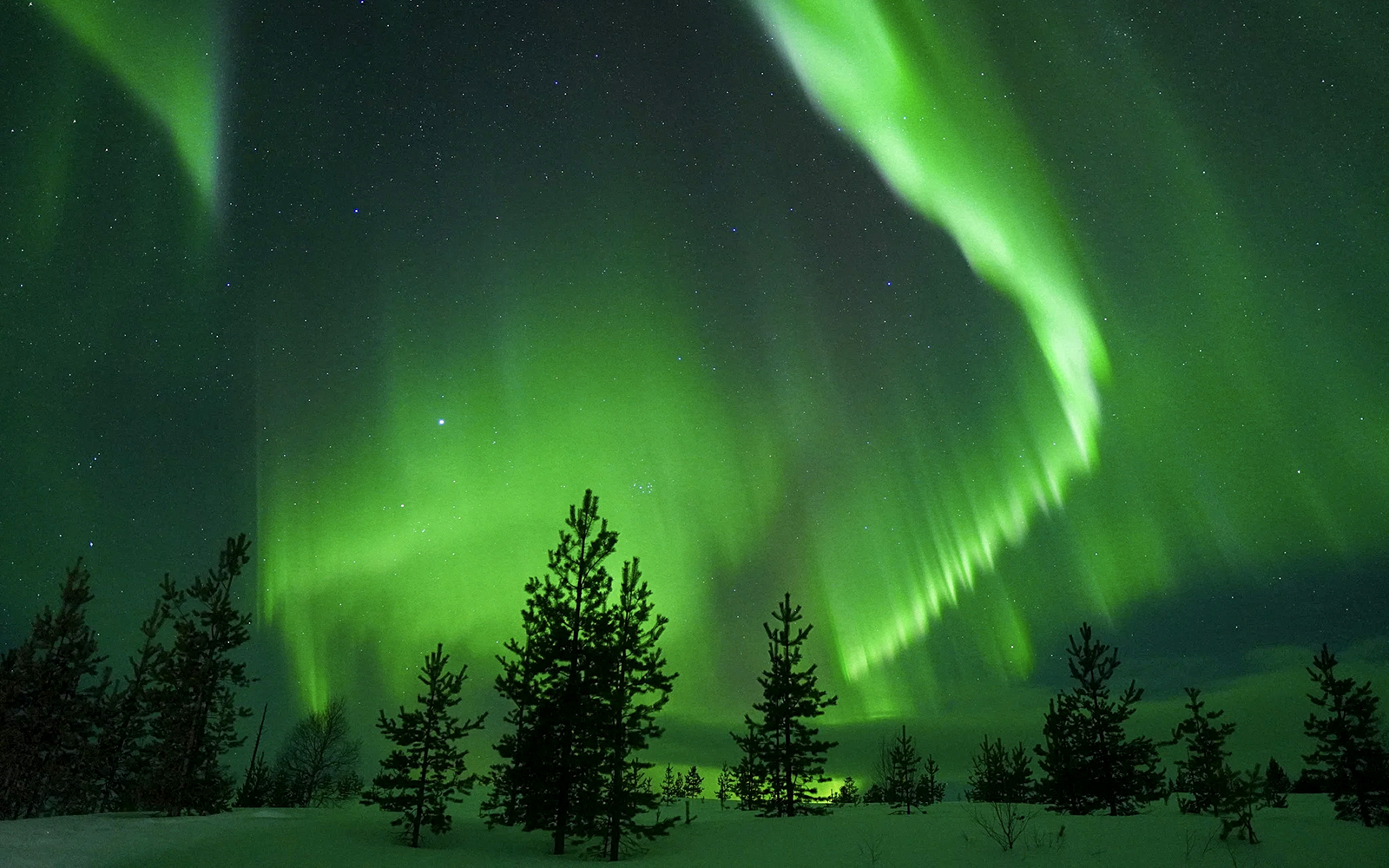 Rovaniemi: Northern Lights Chase with Guaranteed Unlimited Mileage tickets in Rovaniemi - Activities | TickYourList