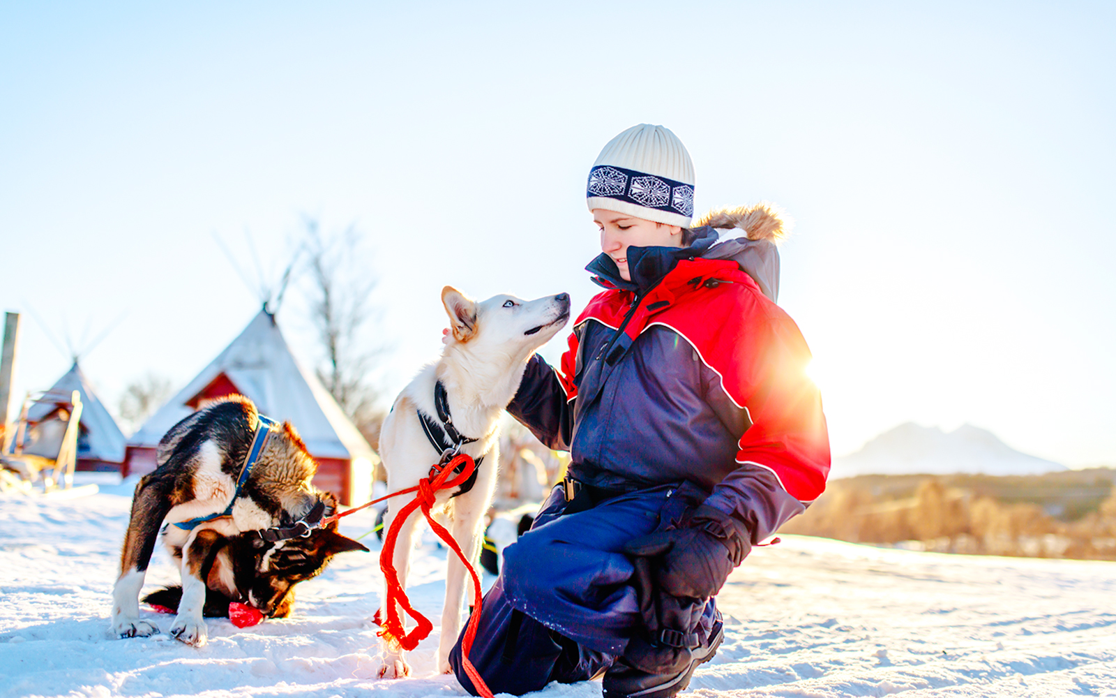 From Rovaniemi: Husky Sledding Experience tickets in Rovaniemi - Activities | TickYourList
