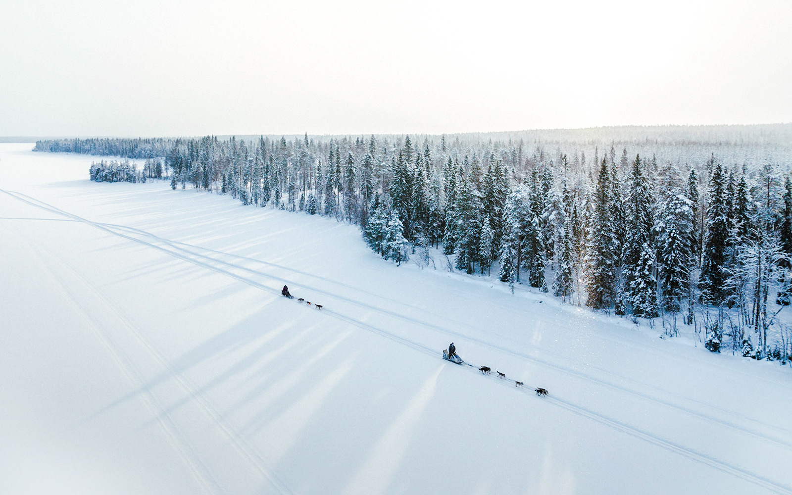 From Rovaniemi: Husky Sledding Experience tickets in Rovaniemi - Features | TickYourList