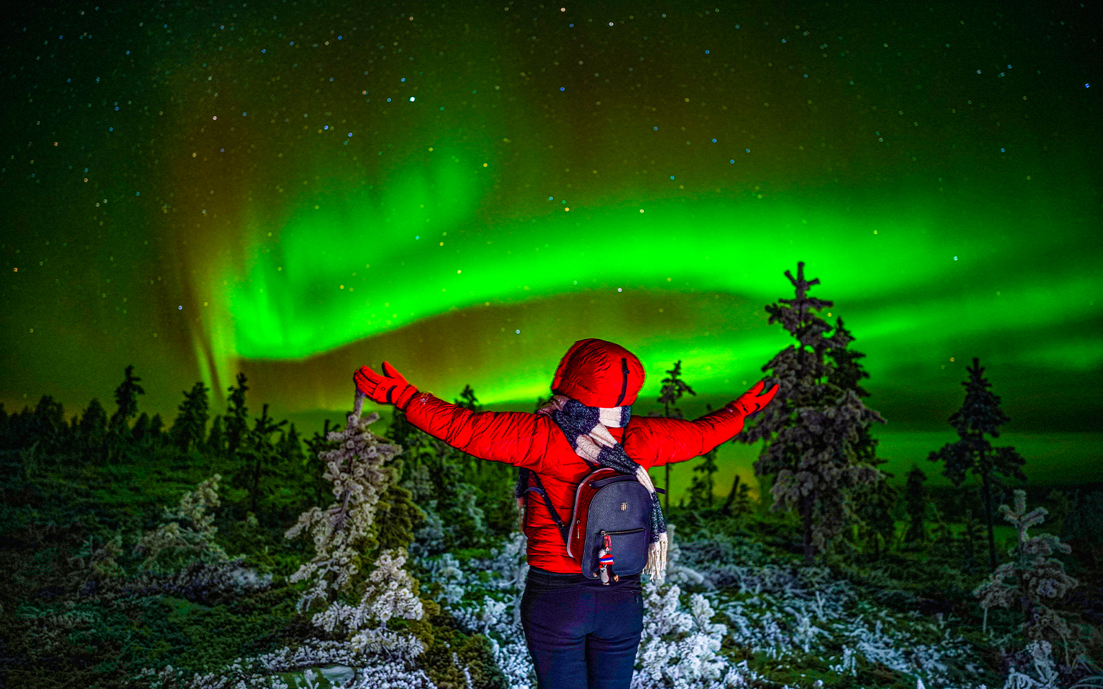 Rovaniemi: Northern Lights Chase with Professional Photography tickets in Rovaniemi - Highlights | TickYourList