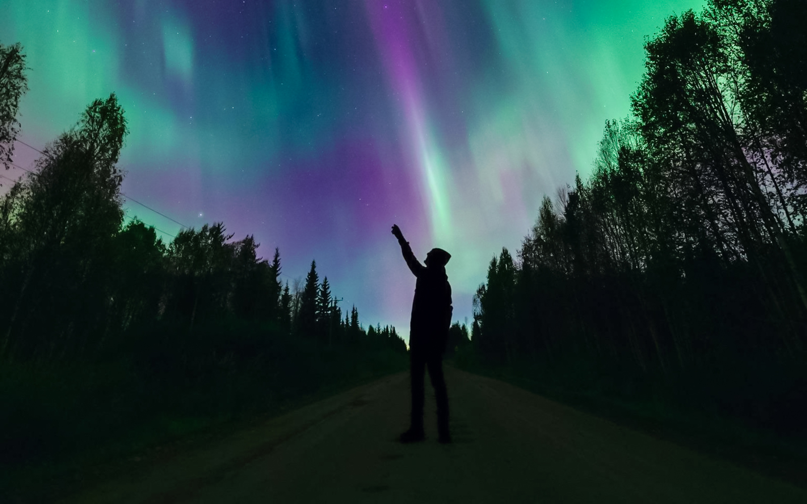 Levi: Northern Lights Chase with Unlimited Mileage & Guaranteed Sightings tickets in Rovaniemi - Highlights | TickYourList