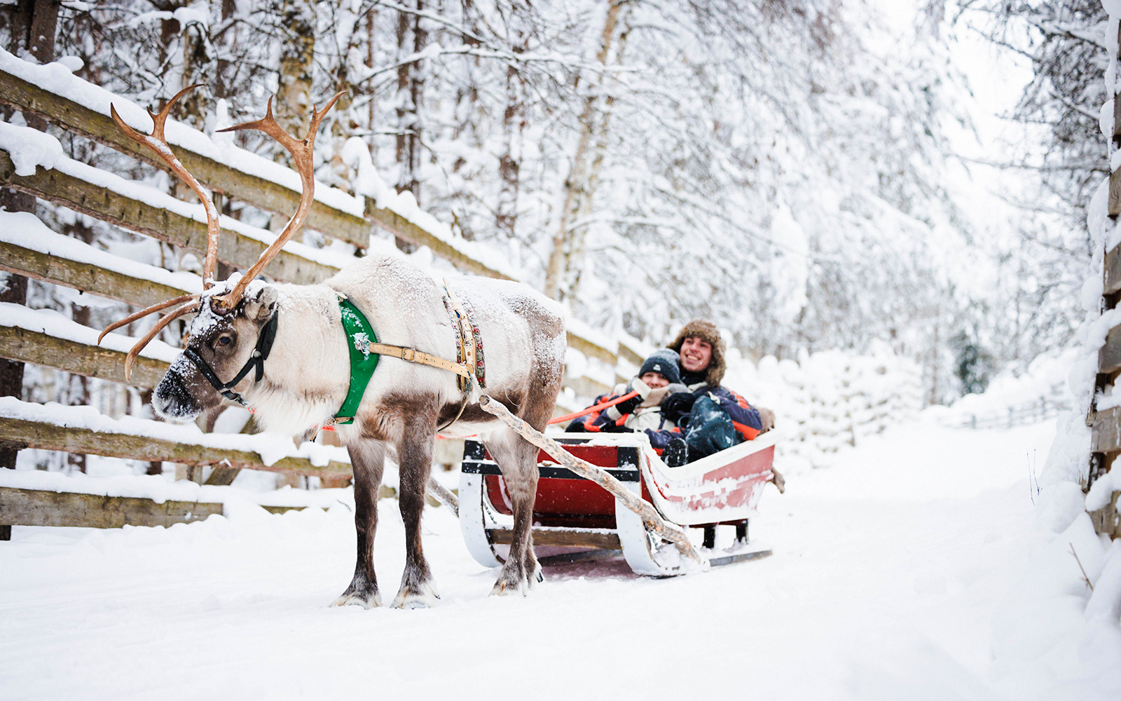 The Highlights Tour from Rovaniemi: Santa Claus Village, Husky & Reindeer Sledding tickets in Rovaniemi - Highlights | TickYourList