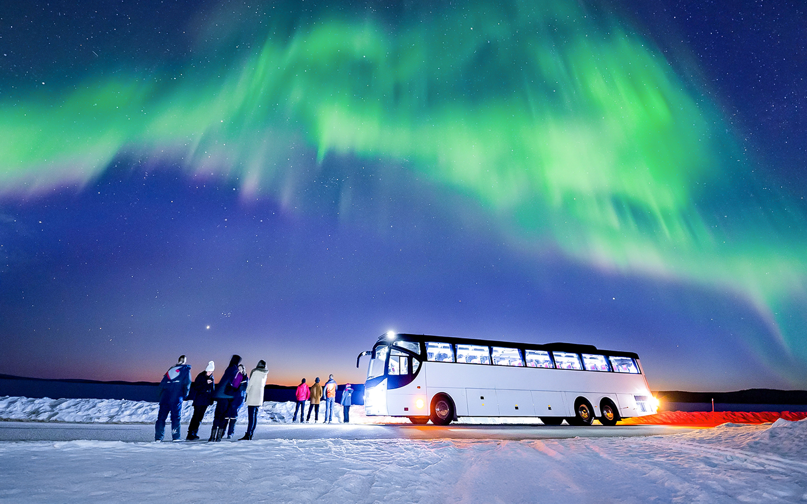 Rovaniemi: Northern Lights Chase Bus Tour tickets in Rovaniemi - Activities | TickYourList